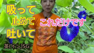 A5763330-589F-445F-BD09-D7FA2F1CD3F0.jpg