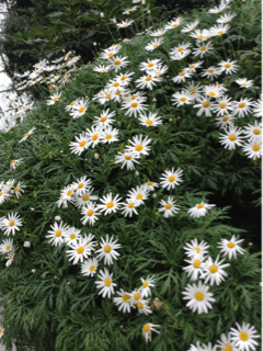 image-20130915195510.png
